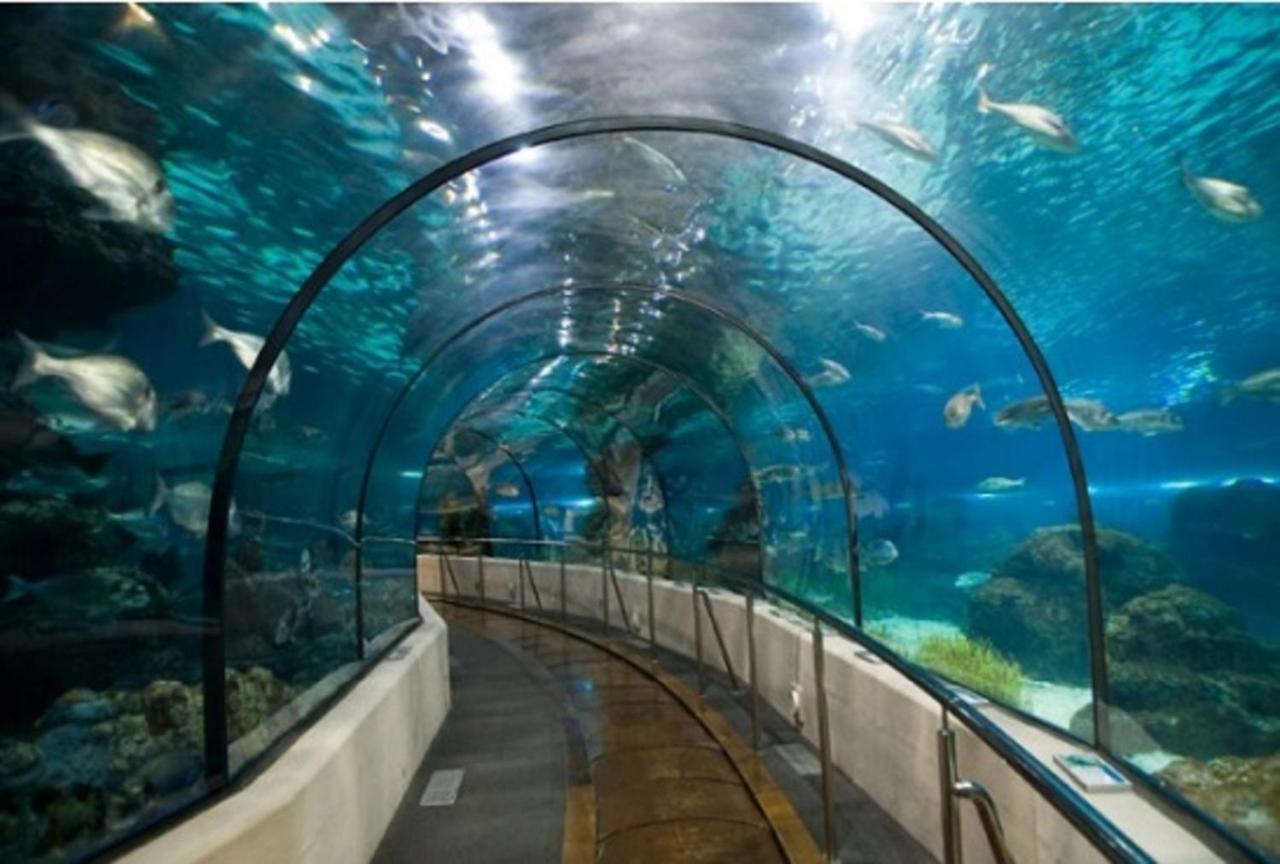 The Clock House, 3 Etoiles Apartment ลาโรแชล ภายนอก รูปภาพ